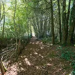 L'envol - Oasis Ressource * Eyliac