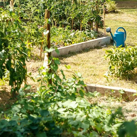 L'envol - Oasis Ressource * Eyliac