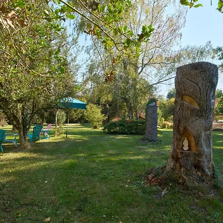 L'envol - Oasis Ressource Tatil Evi *