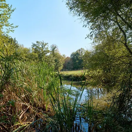 L'envol - Oasis Ressource * Eyliac