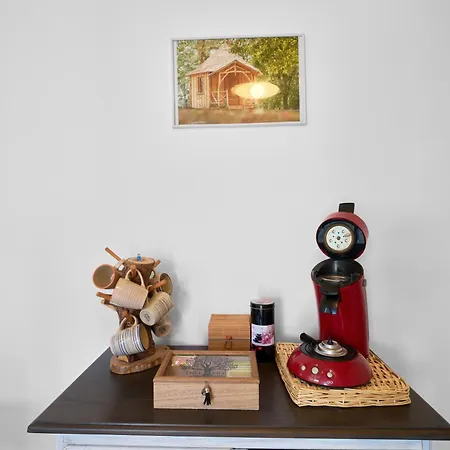 L'envol - Oasis Ressource Tatil Evi *