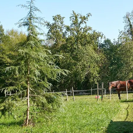 Dom wakacyjny L'envol - Oasis Ressource Eyliac
