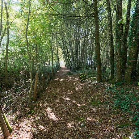 L'envol - Oasis Ressource * Eyliac