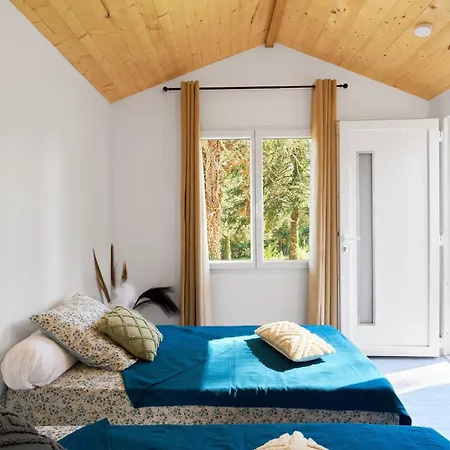 L'envol - Oasis Ressource Tatil Evi Eyliac
