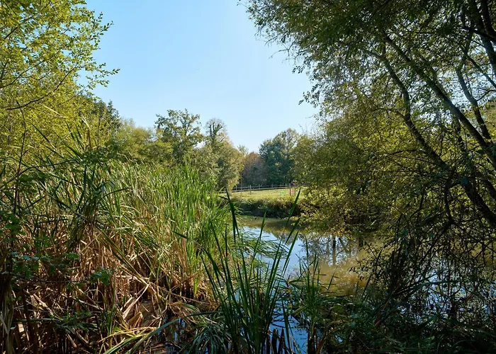 L'envol - Oasis Ressource * Eyliac