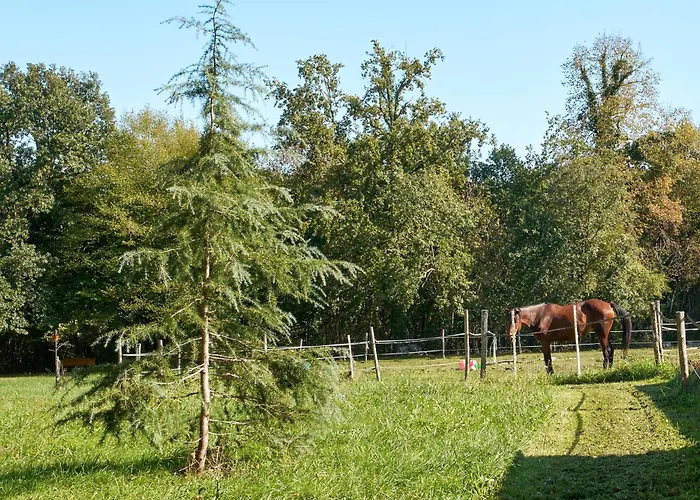 L'envol - Oasis Ressource Eyliac