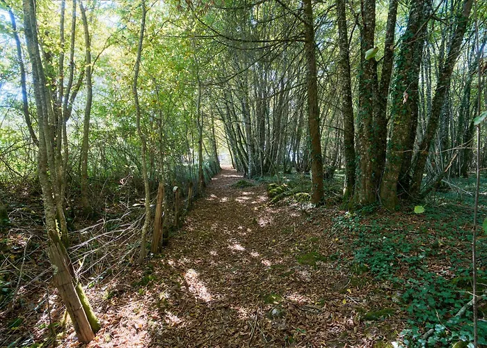 L'envol - Oasis Ressource *